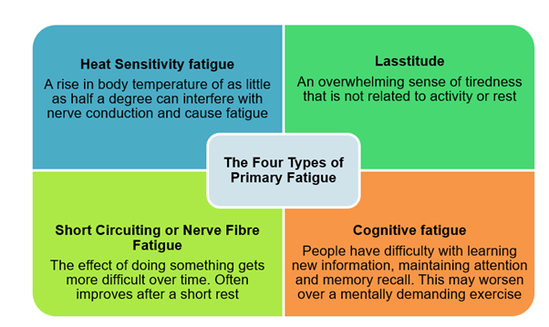 4 types of fatigue - heat sensitivity fatigue, lasstitude, short circuiting or nerve fibre fatigue, cognitive fatigue