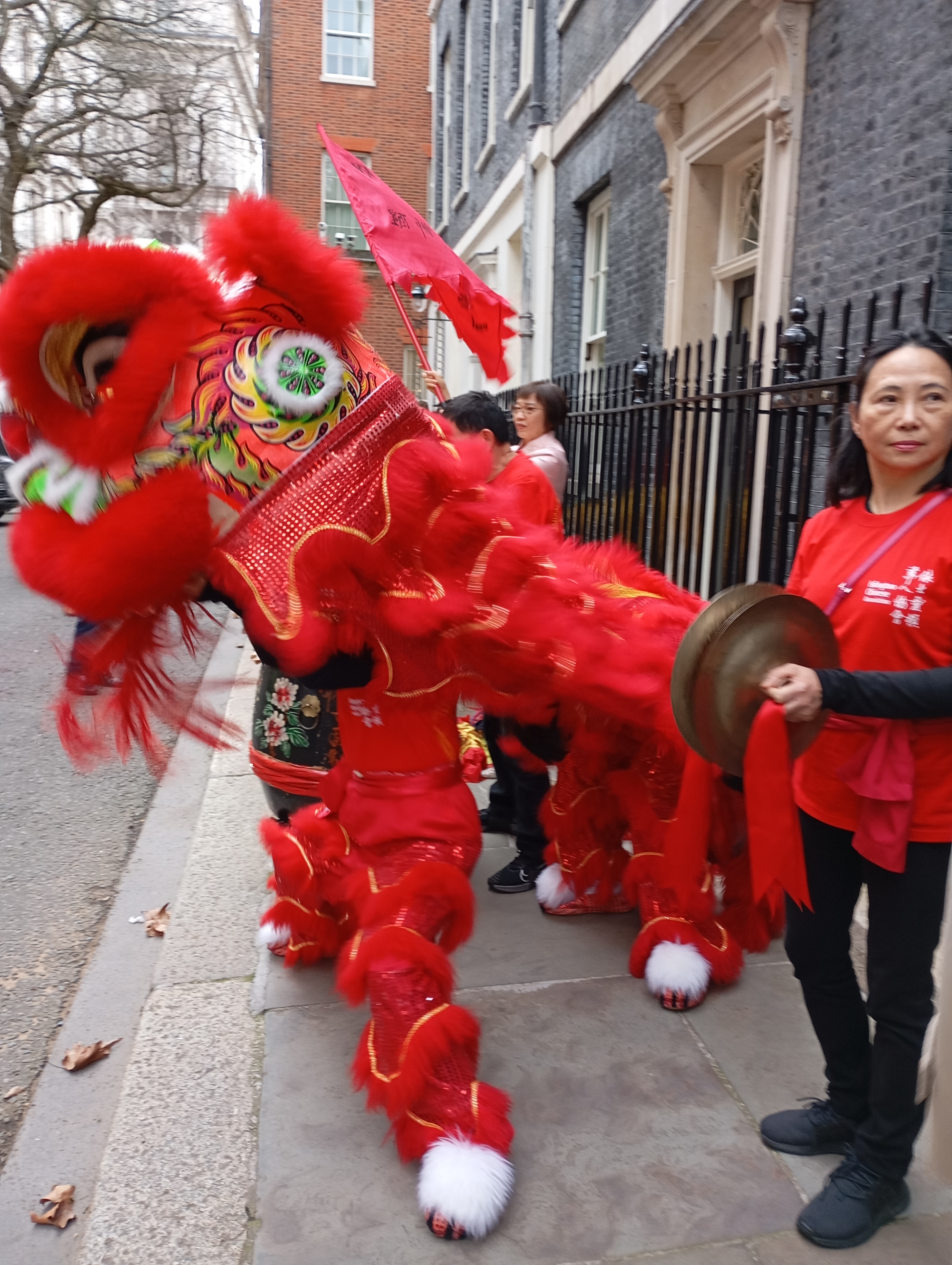 chinese new year celebrations