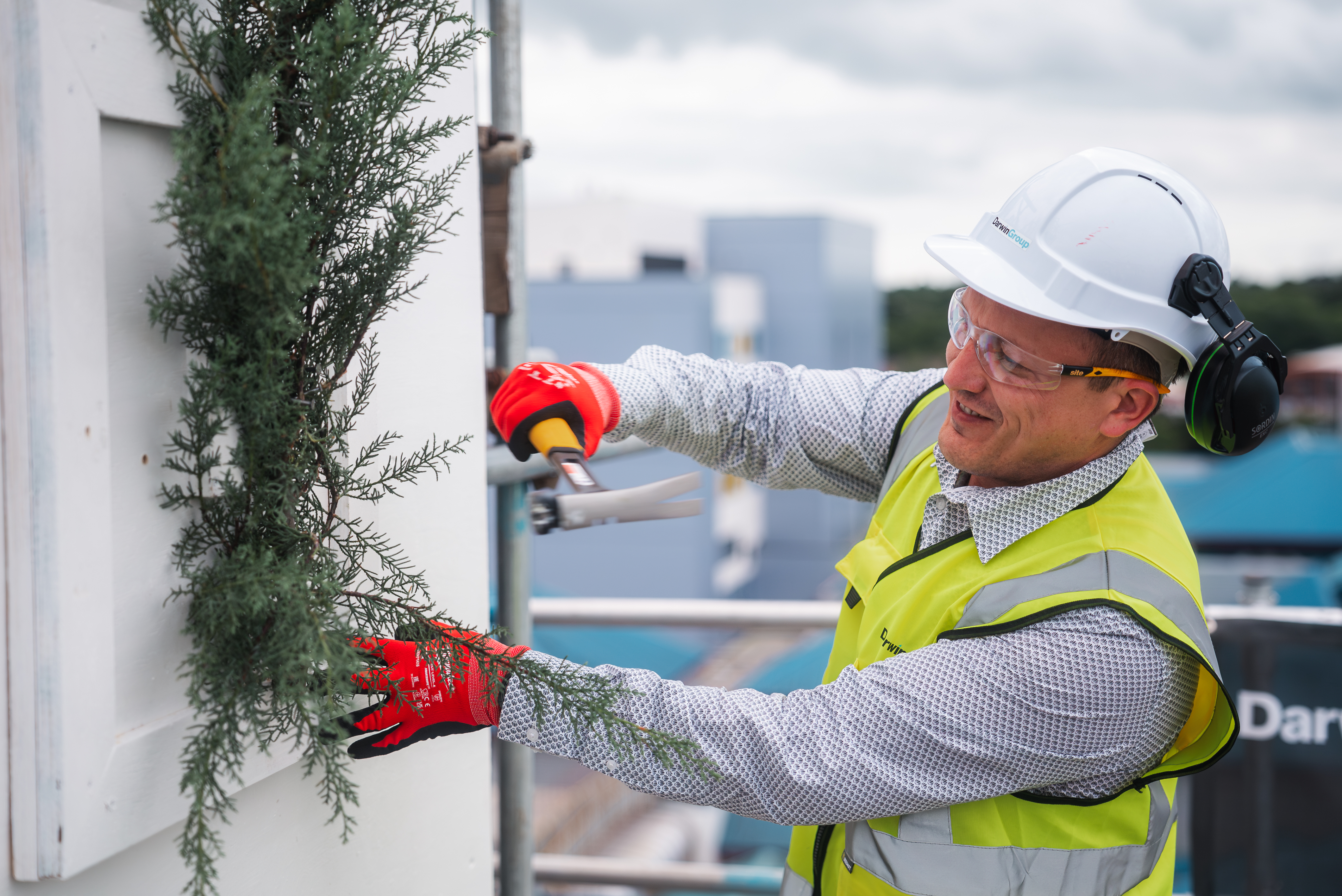 coast topping out nailing of the bough