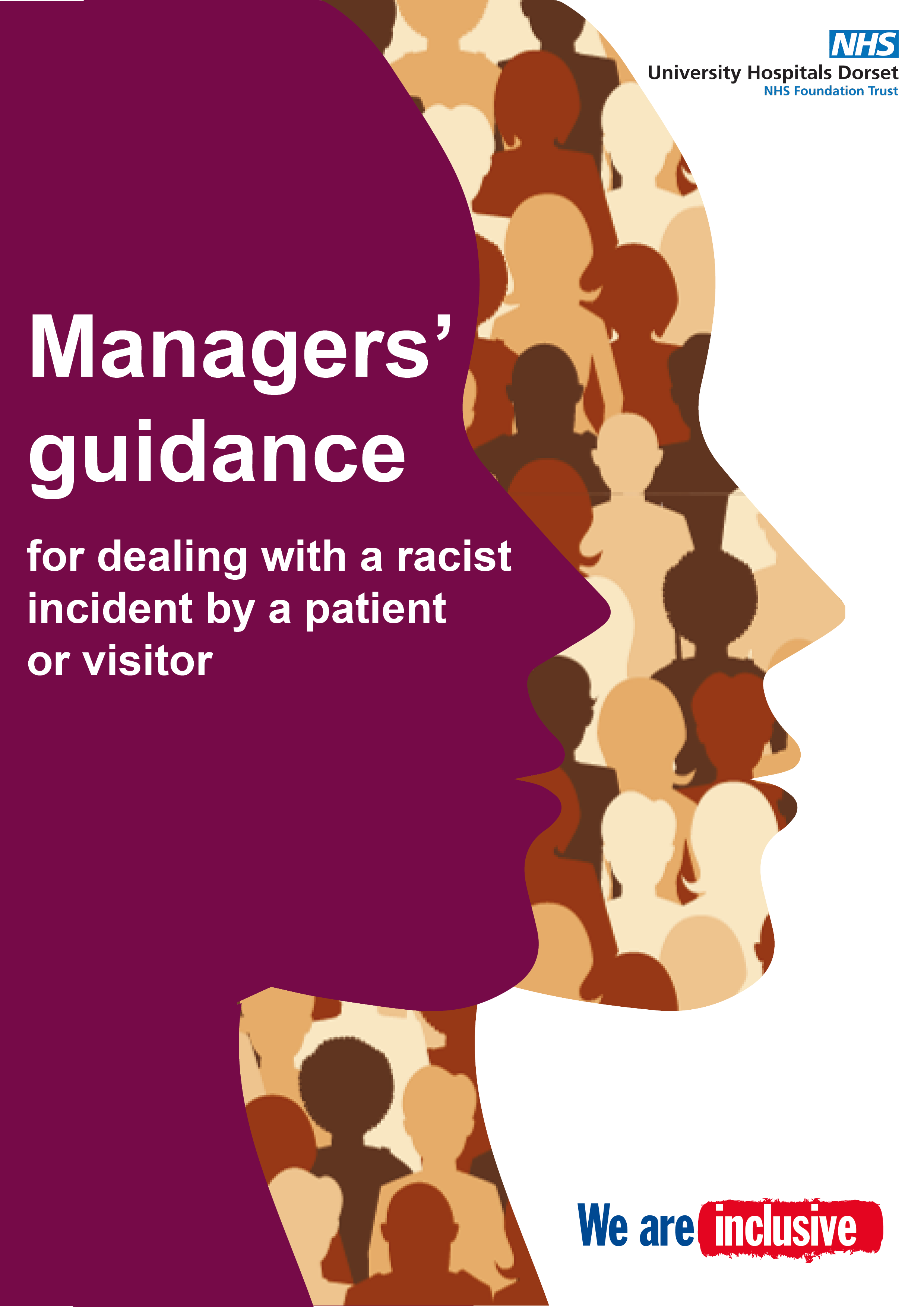 managers guidance for dealing with a racist incident from a patient or visitor
