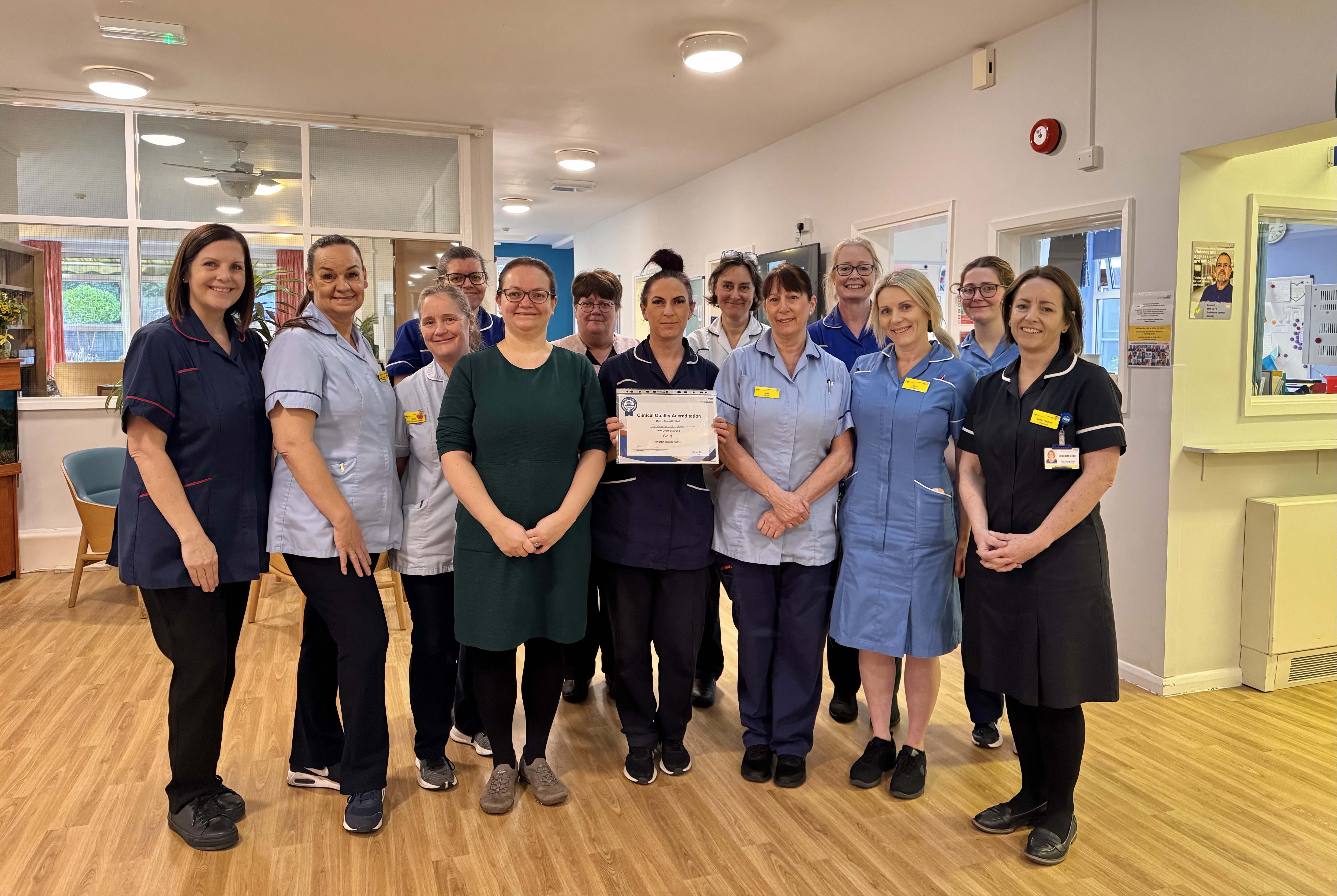 National award for hospice teams 