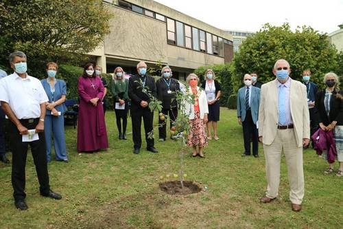 Tree in memory of Covid-19 patients and staff