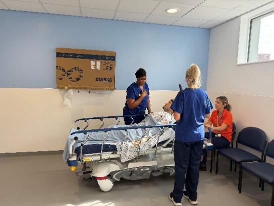 endoscopy