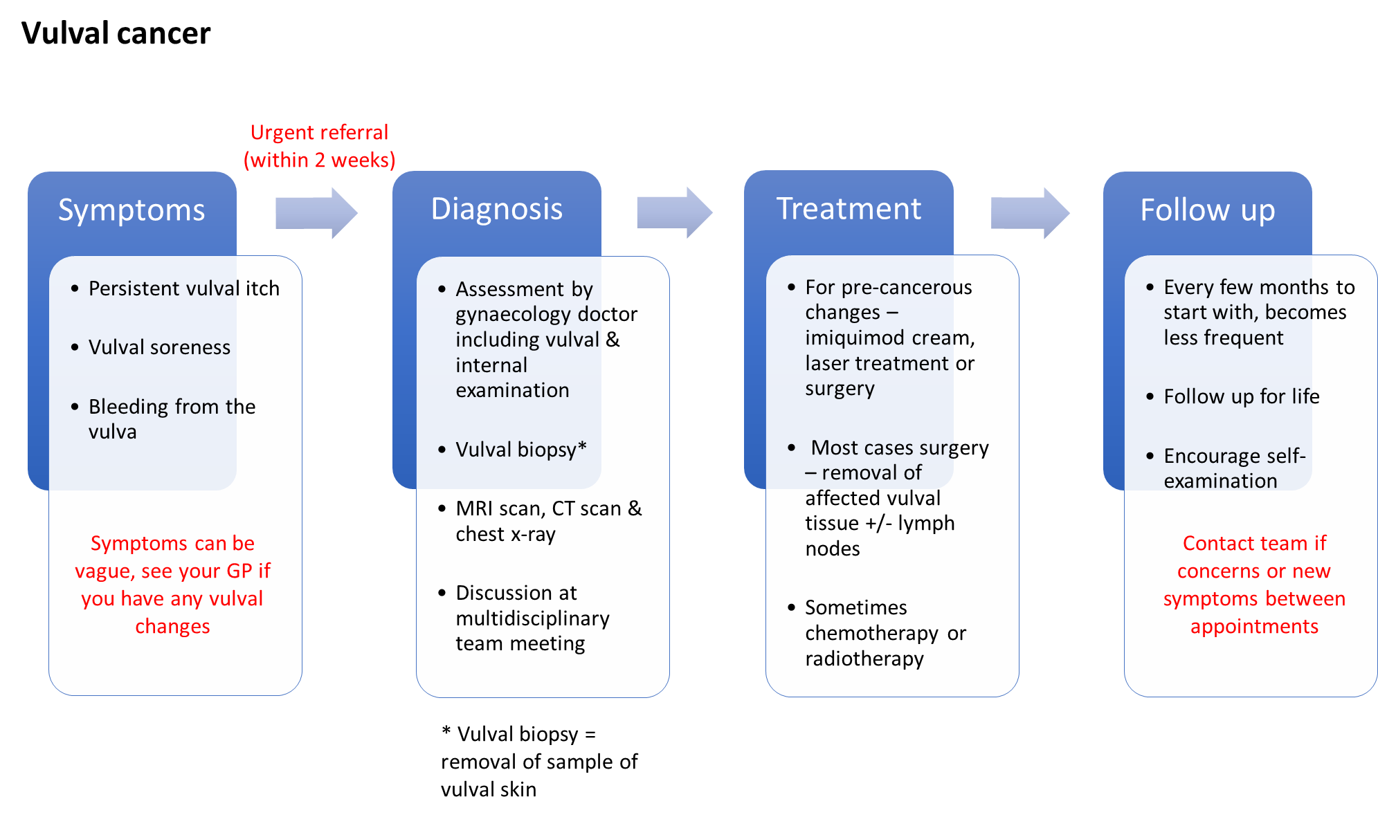 Vulval cancer diagram