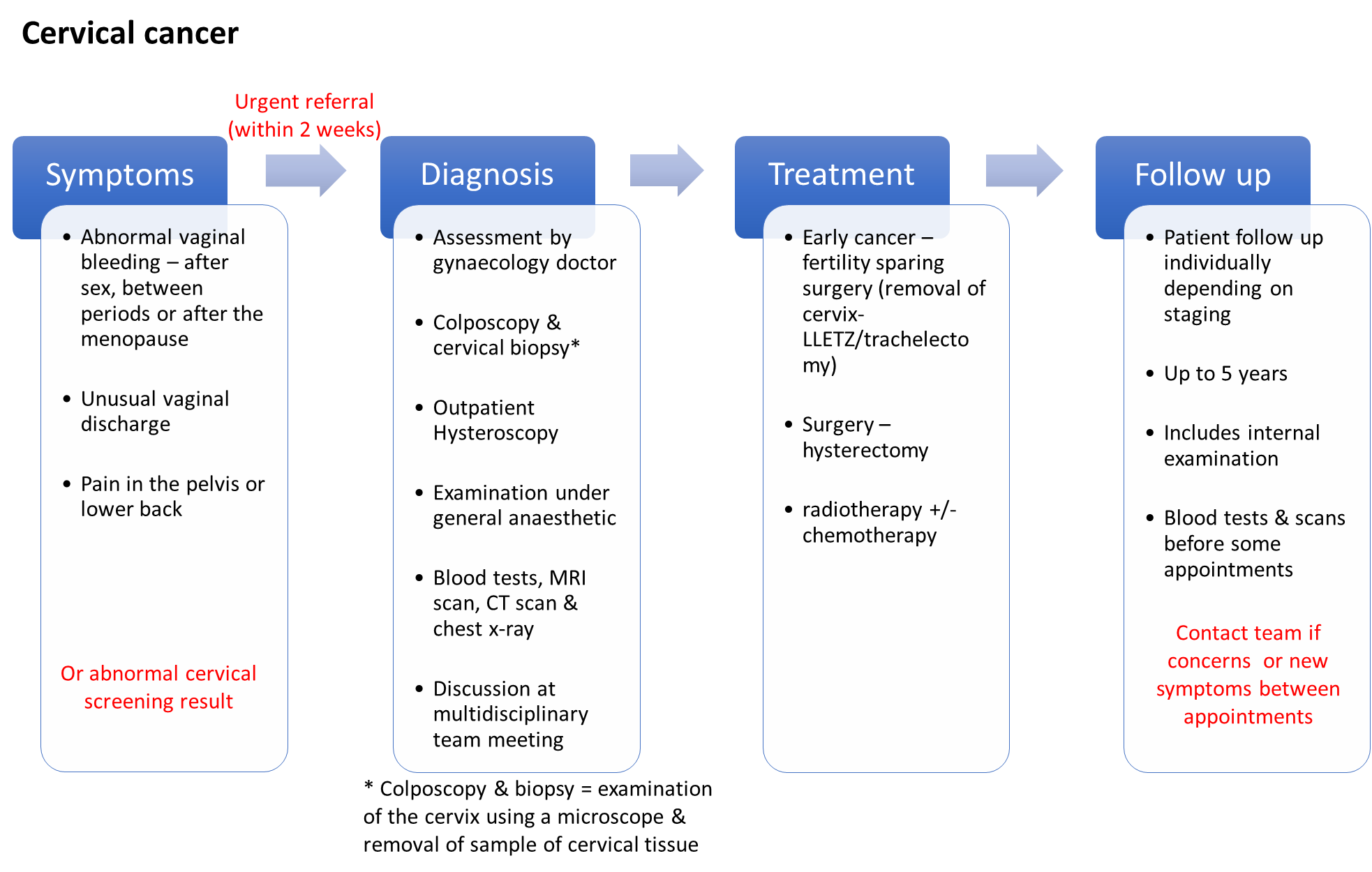 cervical cancer diagram