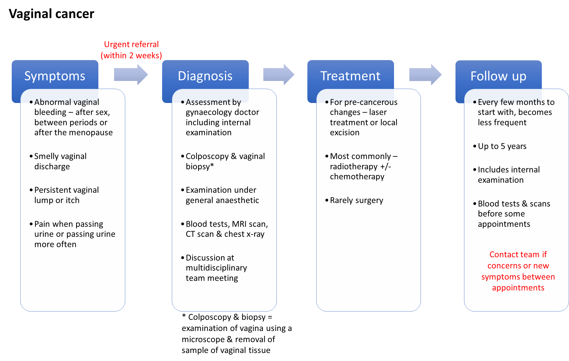 vaginal cancer diagram