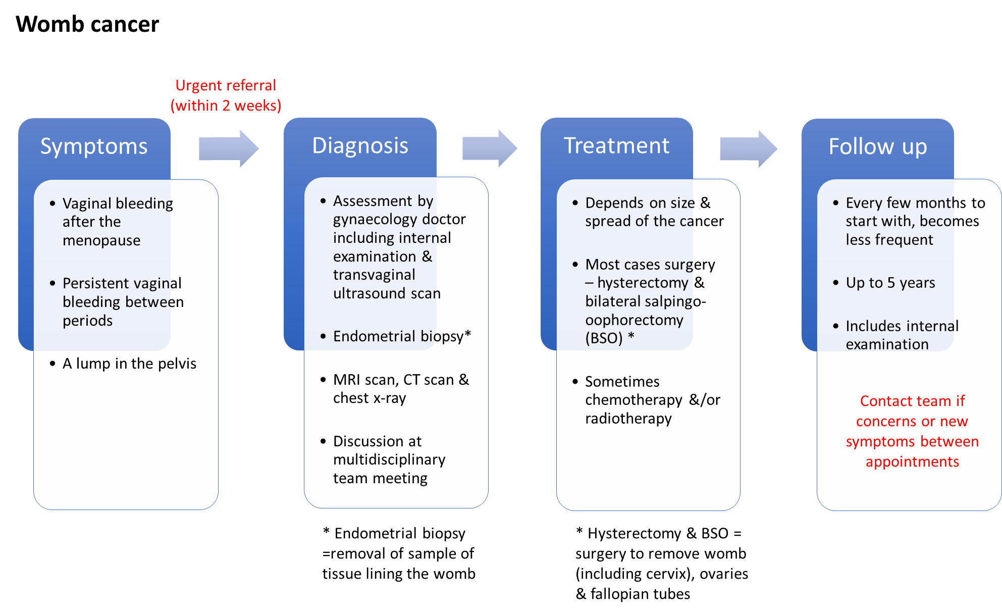 womb cancer diagram