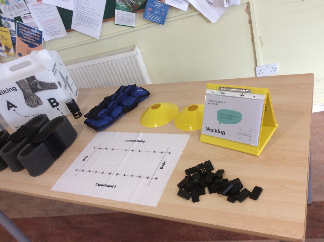 Digesting Science Workshop
