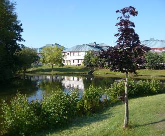 picture of hospital and lake