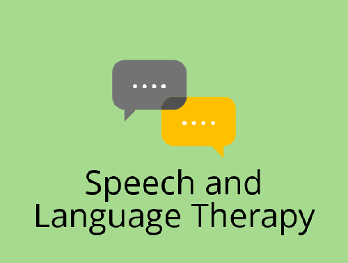 speech and language therapy