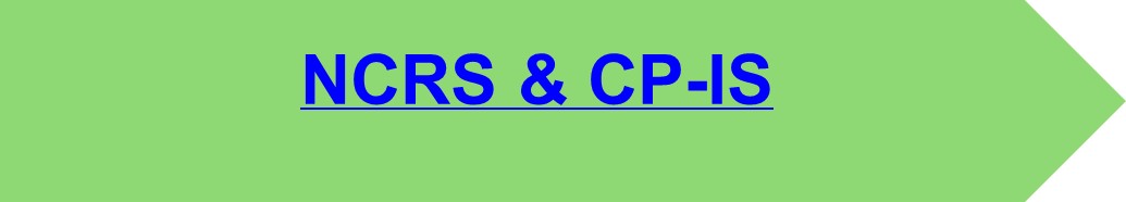 ncrs cp is